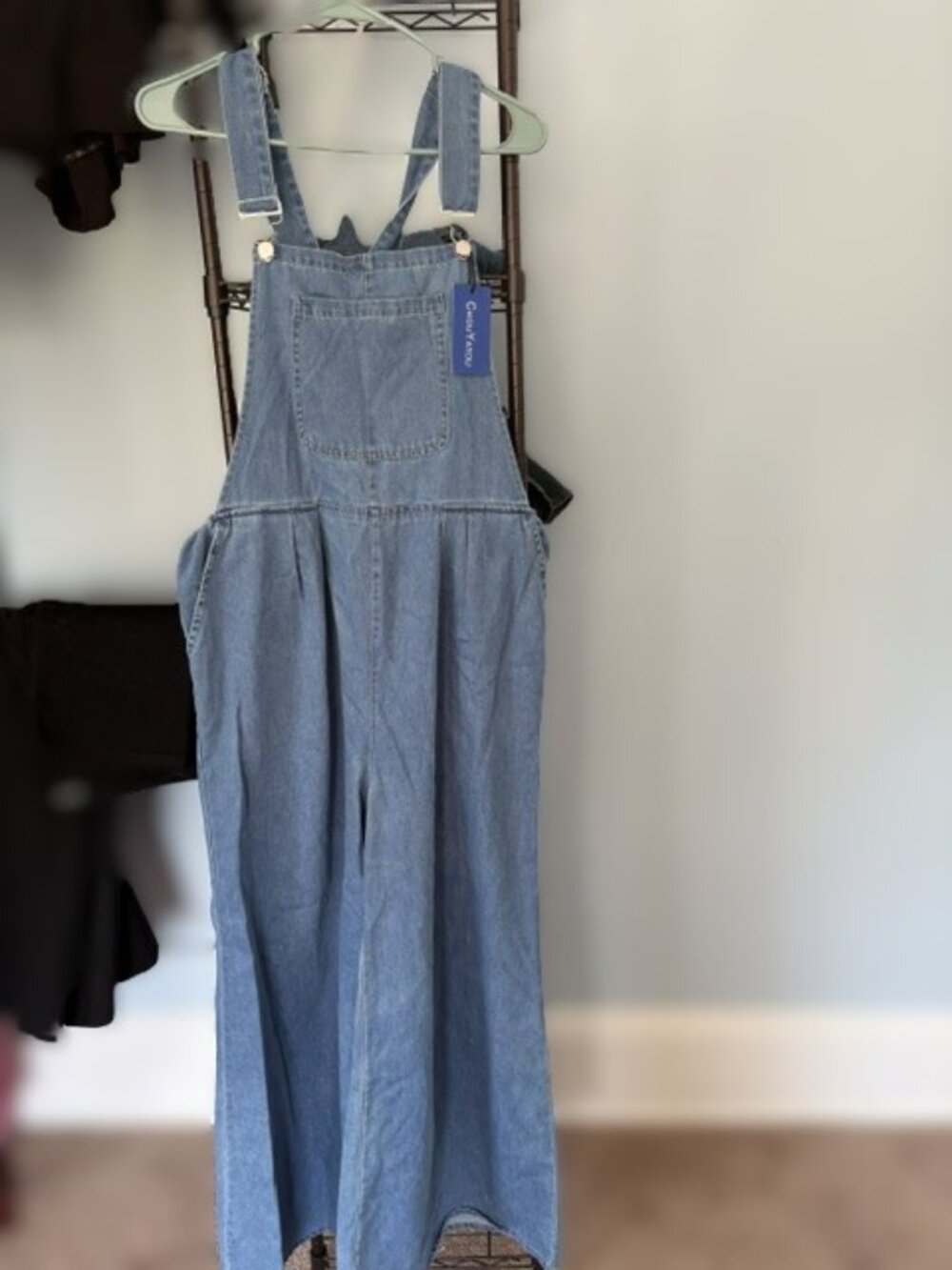 Wide Leg overalls with darted pleats at waist